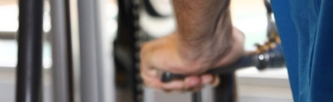 Poliesportiu Francesc Calvet